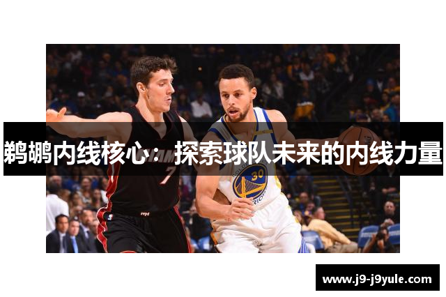 鹈鹕内线核心：探索球队未来的内线力量